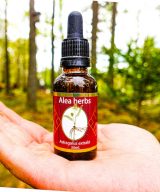 Astragalus