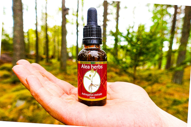 Astragalus