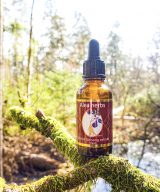 Ginseng - 2 - 793X793